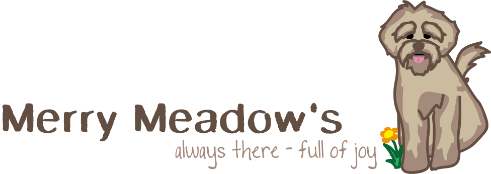 Original Australian Labradoodles